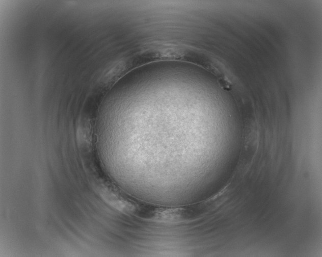 X0000078230078200611101020