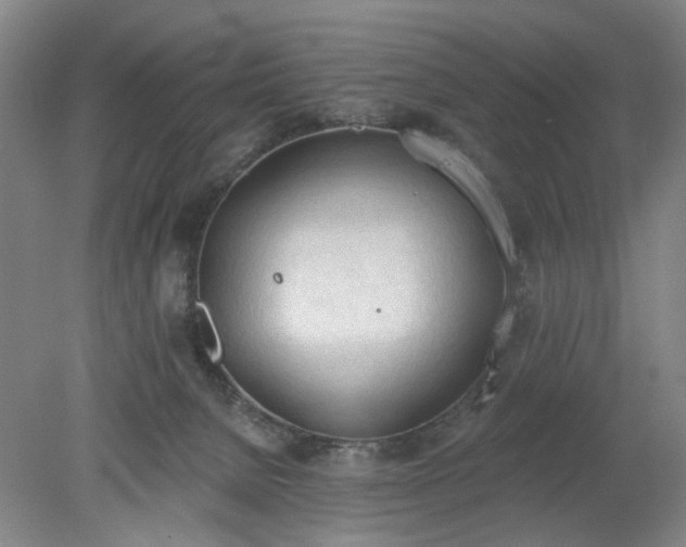 X0000078230080200611101020