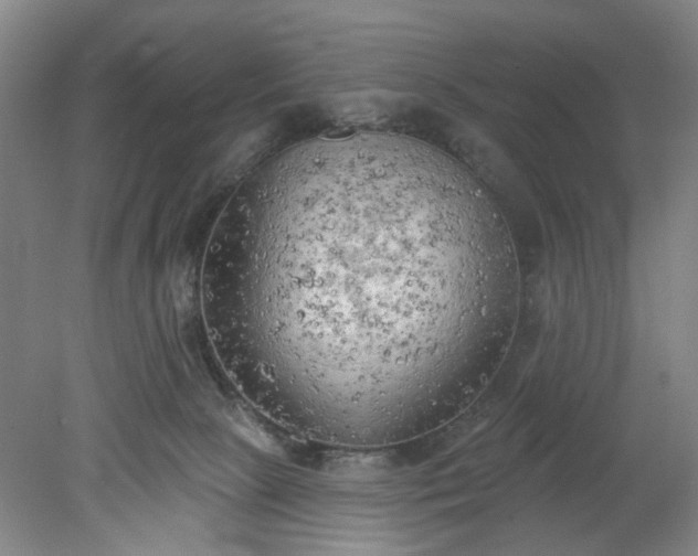 X0000078230081200611101020