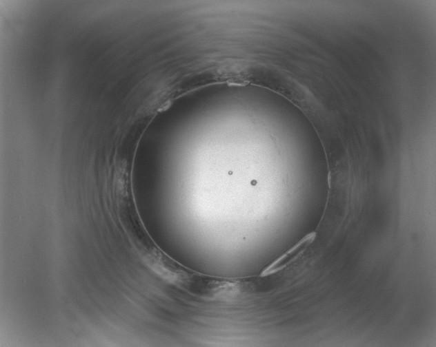 X0000078230083200611101020