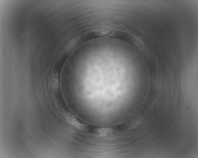 X0000078230085200611101020