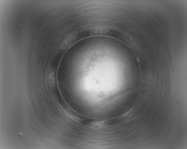 X0000078230086200611101020