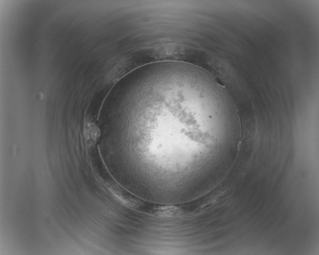 X0000078230087200611101020