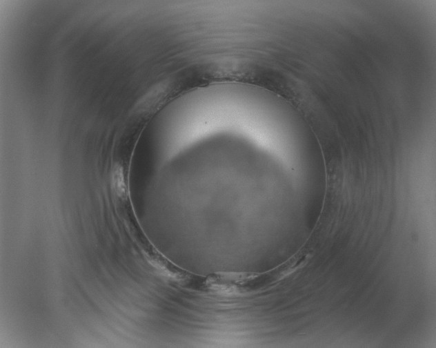 X0000078230089200611101020