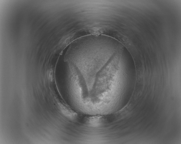 X0000078230090200611101021