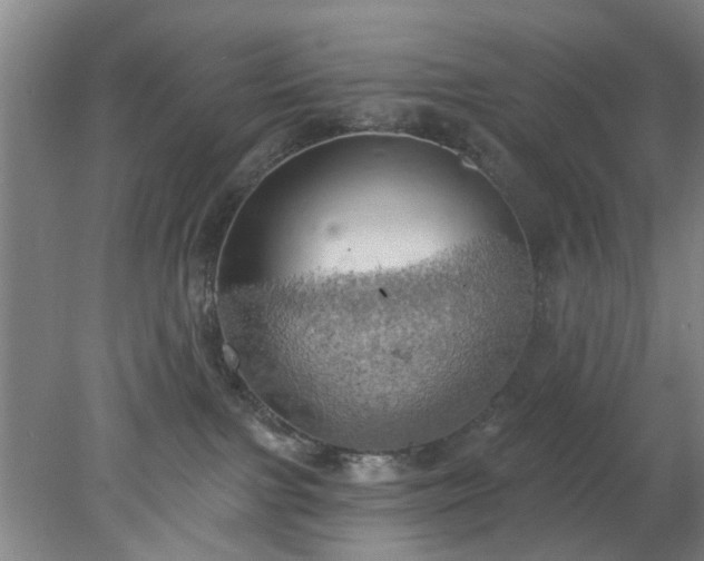 X0000078230091200611101021