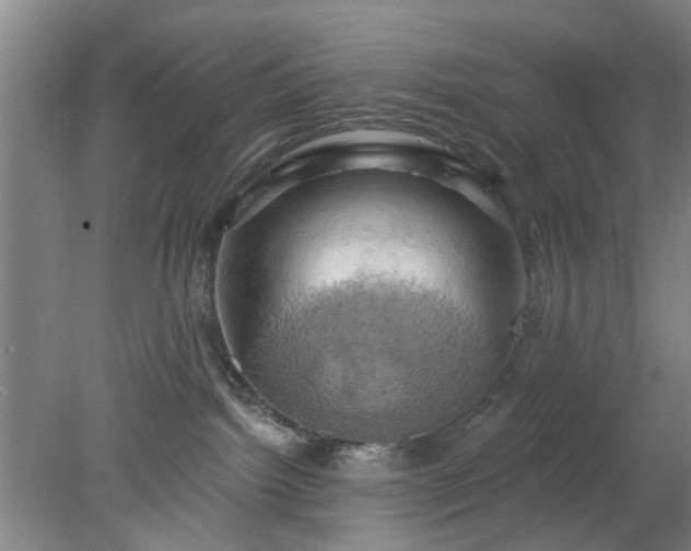 X0000078230092200611101021