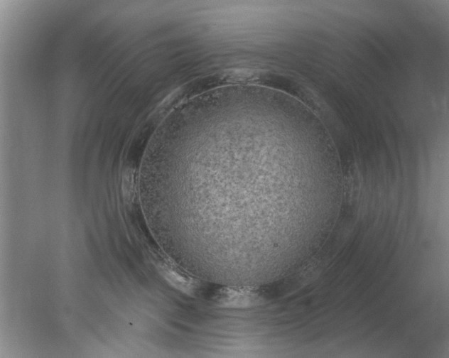 X0000078230093200611101021