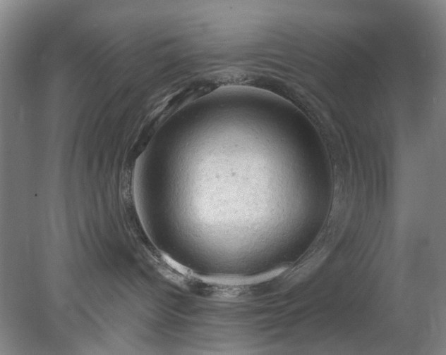 X0000078230096200611101021