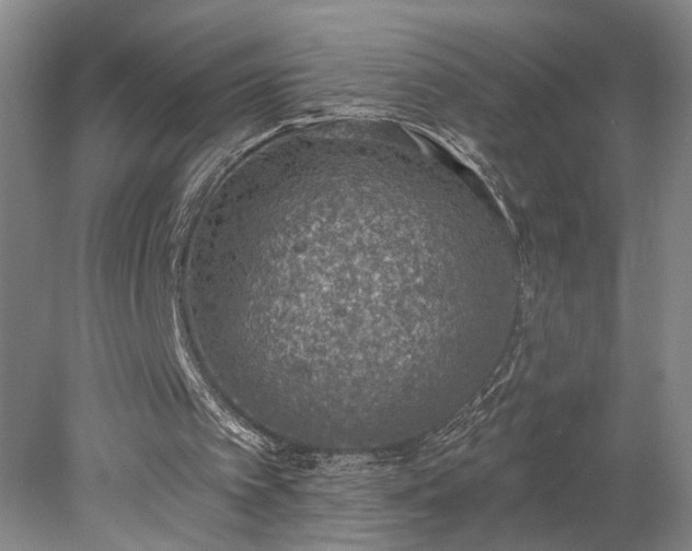 X0000078230097200611101020