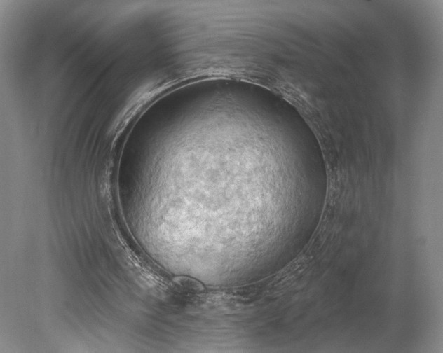 X0000078230098200611101020