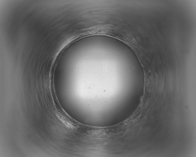 X0000078230100200611101020