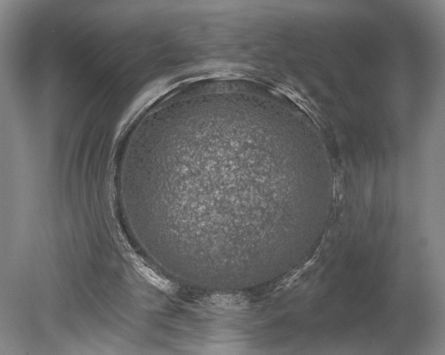 X0000078230101200611101020