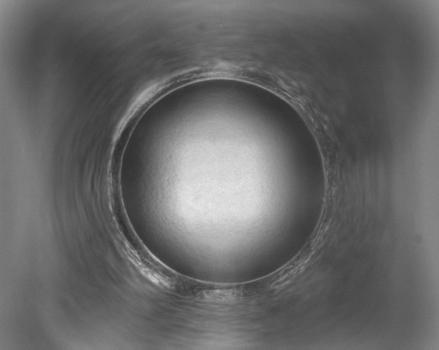 X0000078230102200611101020