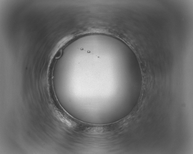 X0000078230104200611101020