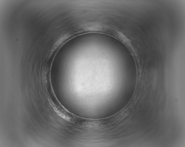 X0000078230106200611101020