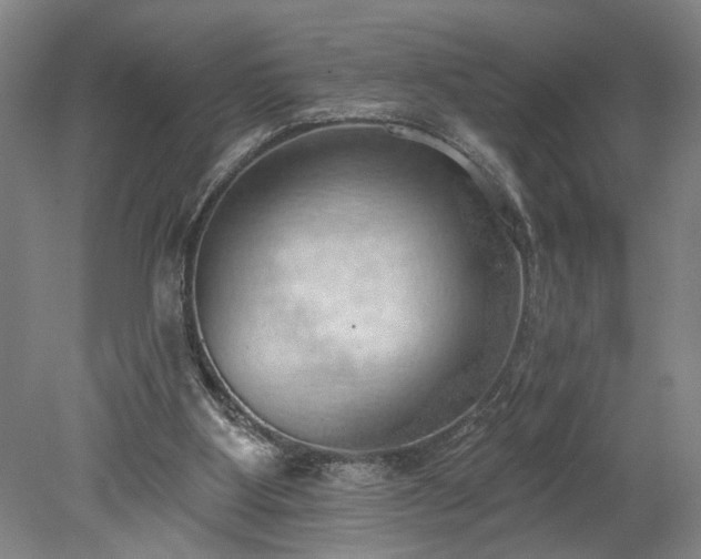 X0000078230107200611101020