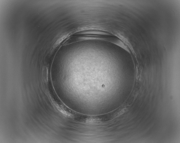 X0000078230109200611101020