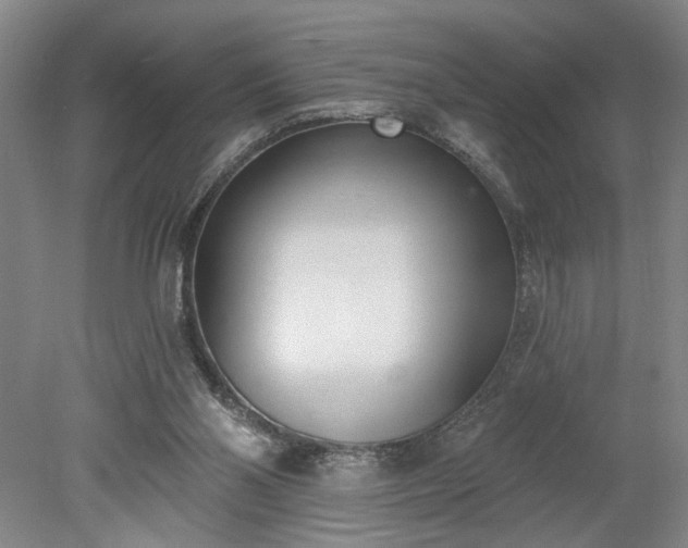 X0000078230110200611101020