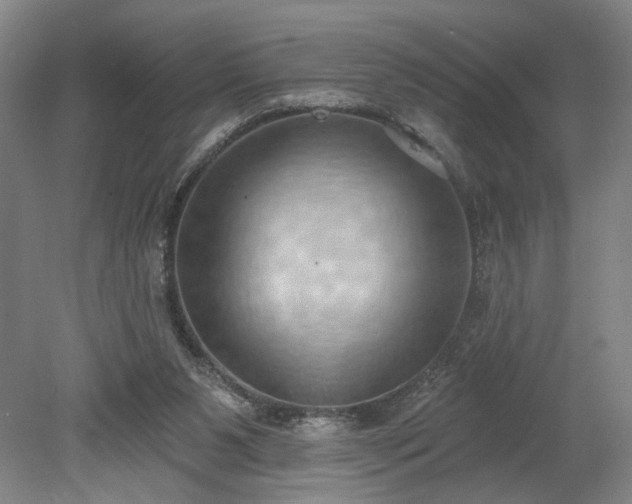 X0000078230111200611101020