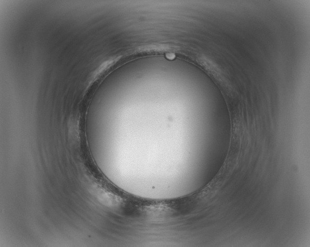 X0000078230112200611101020