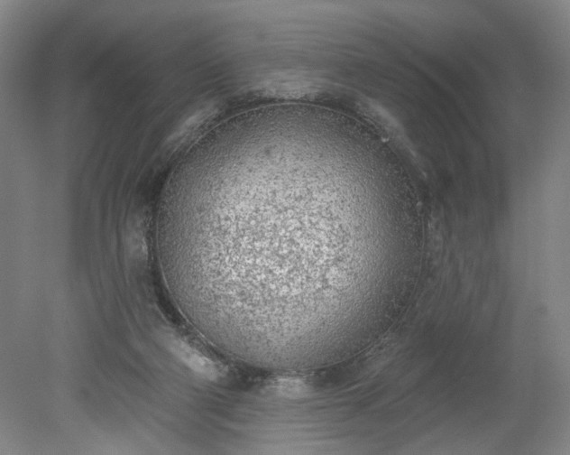 X0000078230114200611101020