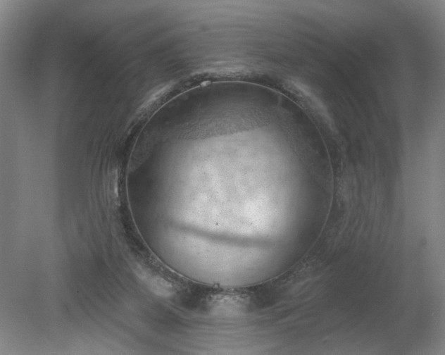 X0000078230115200611101020