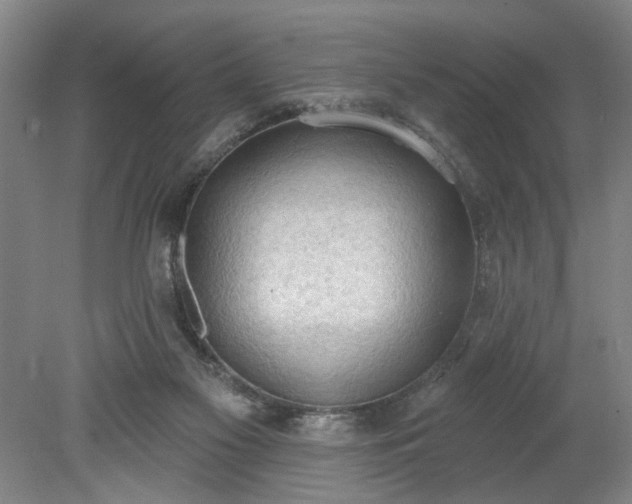 X0000078230117200611101019