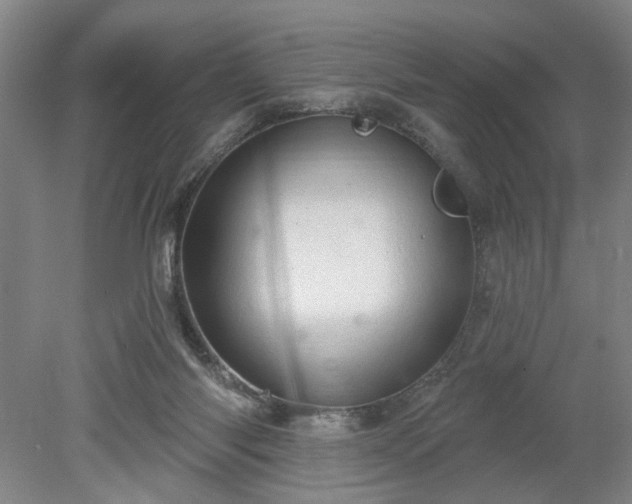 X0000078230118200611101019