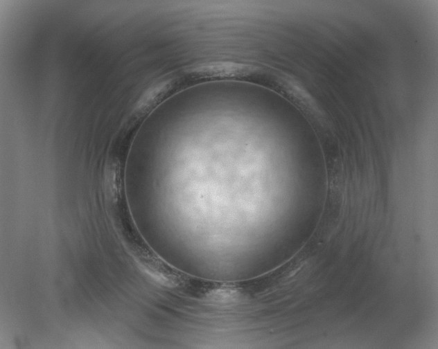 X0000078230119200611101019