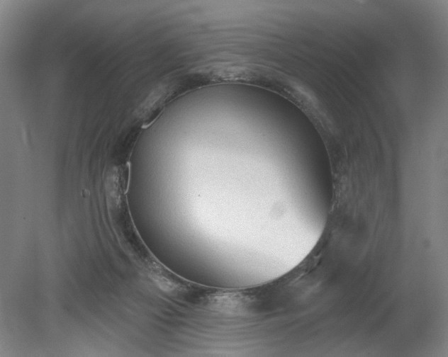 X0000078230121200611101019