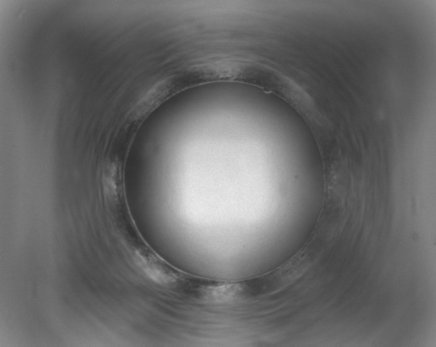 X0000078230122200611101019