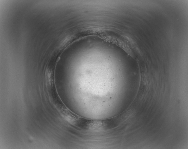 X0000078230123200611101019