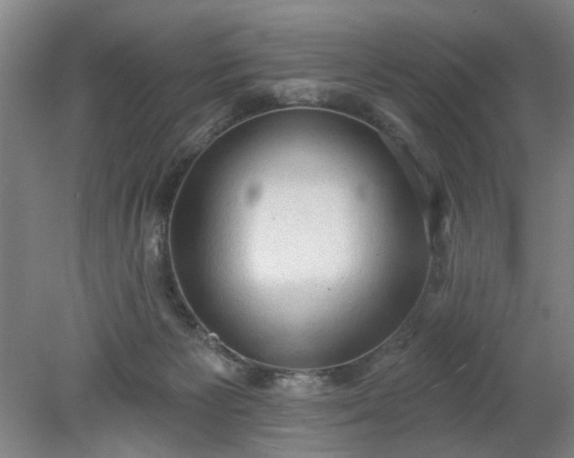 X0000078230125200611101019