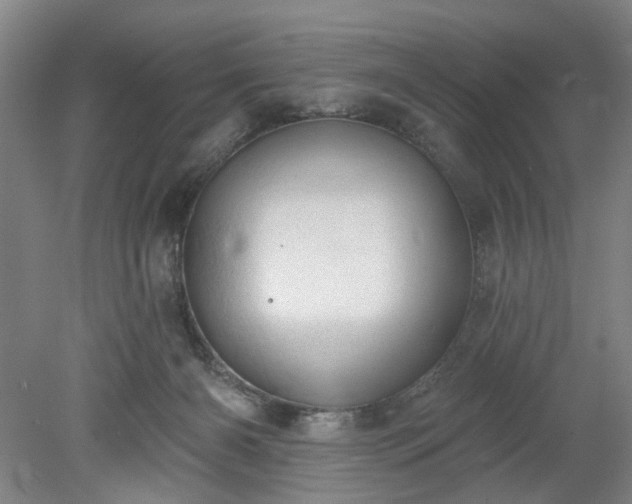 X0000078230126200611101019