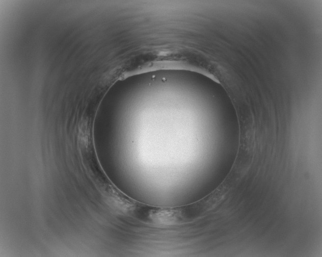 X0000078230129200611101019