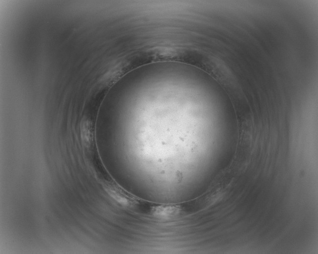 X0000078230135200611101019