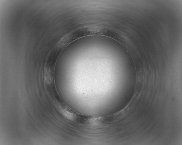 X0000078230136200611101019