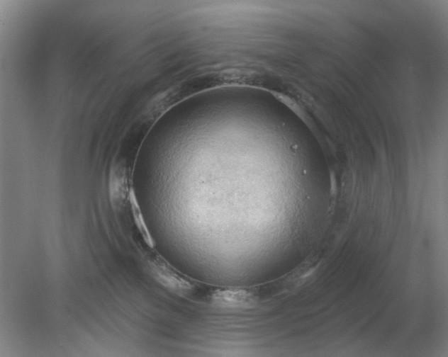 X0000078230137200611101019