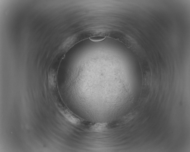 X0000078230138200611101019