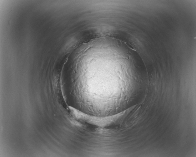 X0000078230139200611101019