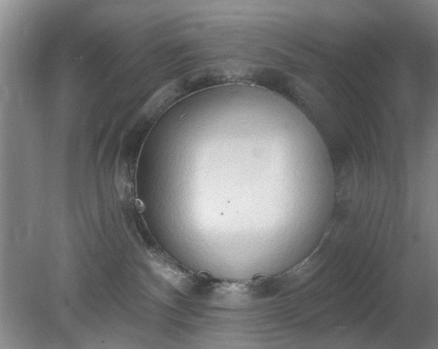 X0000078230140200611101019