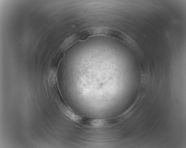 X0000078230142200611101019