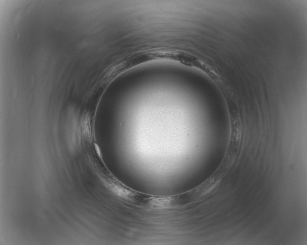 X0000078230143200611101019