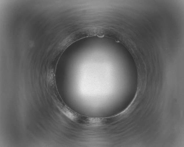 X0000078230144200611101019