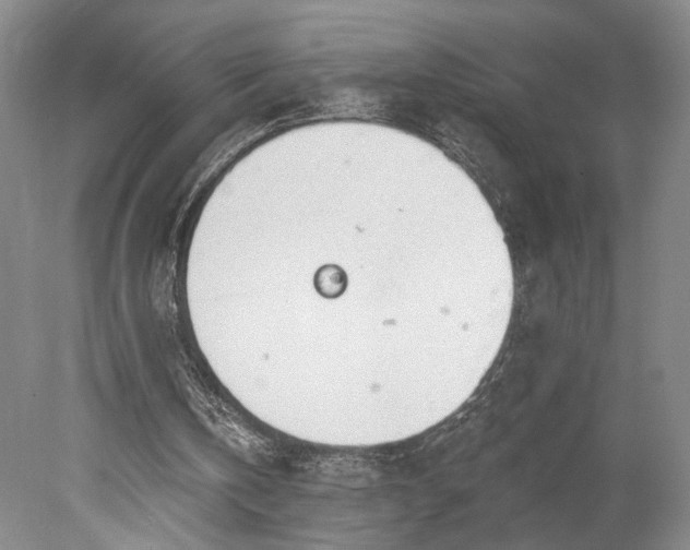 X0000078230146200611101018