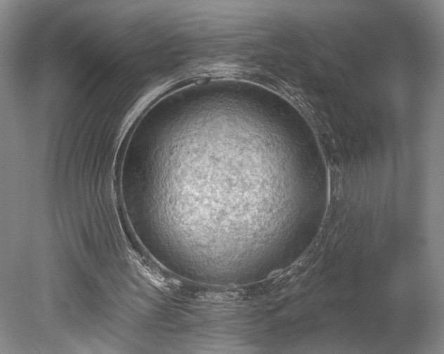 X0000078230147200611101018