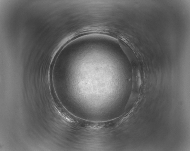 X0000078230148200611101018