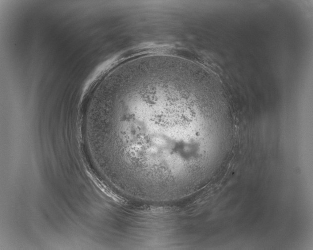 X0000078230149200611101018