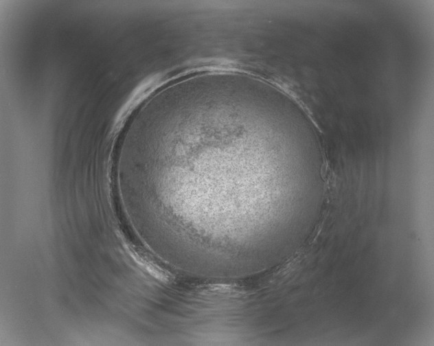 X0000078230151200611101018